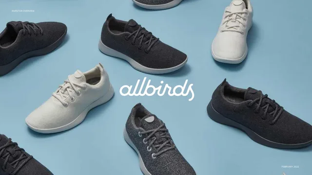 Allbirds — Cover Slide investment banking deck cover