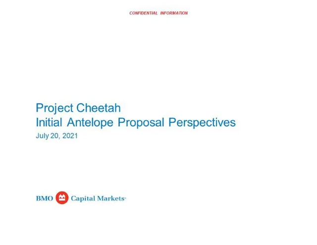 Bmo Capital Markets — Project Cheetah Initial Antelope Proposal Perspectives investment banking deck cover