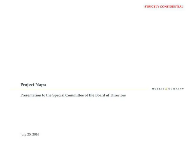 Moelis Company — Project Napa investment banking deck cover