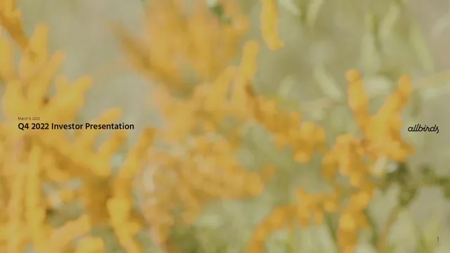 Allbirds — Q4 2022 Investor Presentation investment banking deck cover