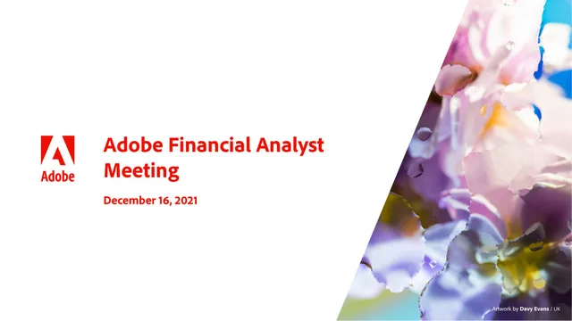 Adobe — Adobe Financial Analyst Meeting investment banking deck cover