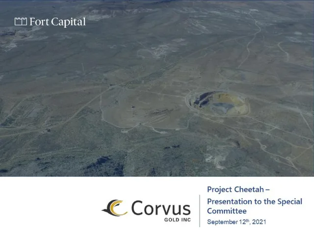 Fort Capital — Cover Slide investment banking deck cover