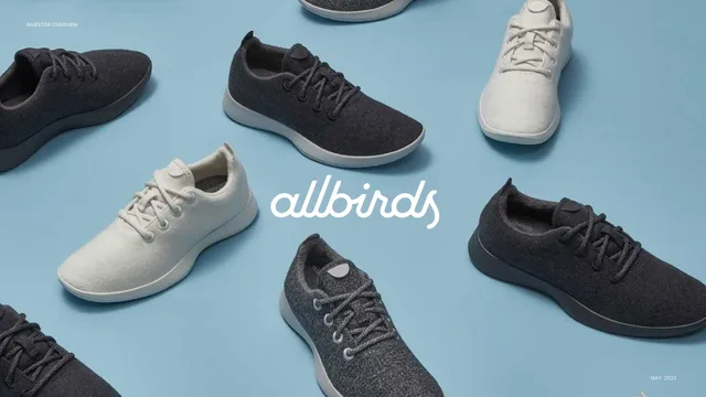 Allbirds — Cover Slide investment banking deck cover