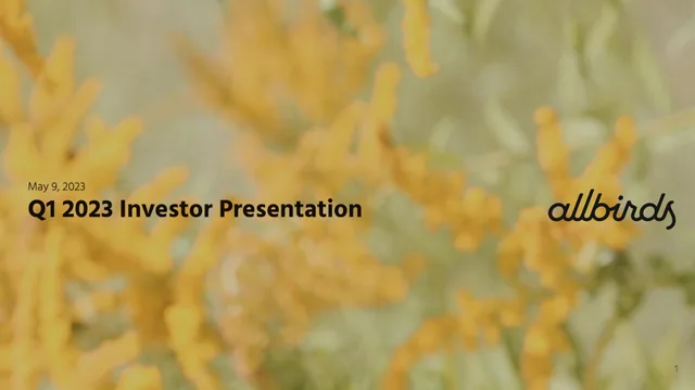 Allbirds — Q1 2023 Investor Presentation investment banking deck cover