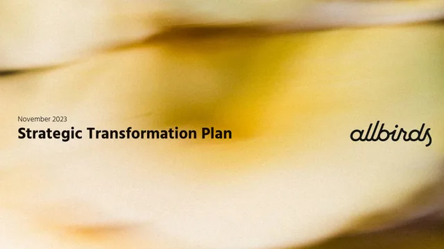 Allbirds — Strategic Transformation Plan investment banking deck cover