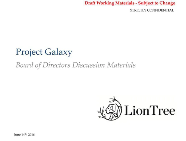 Liontree — Project Galaxy investment banking deck cover