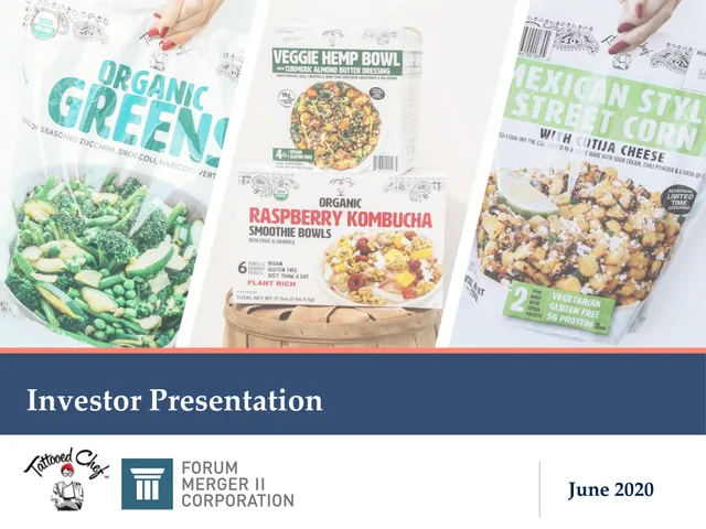 Tattooed Chef — Investor Presentation investment banking deck cover