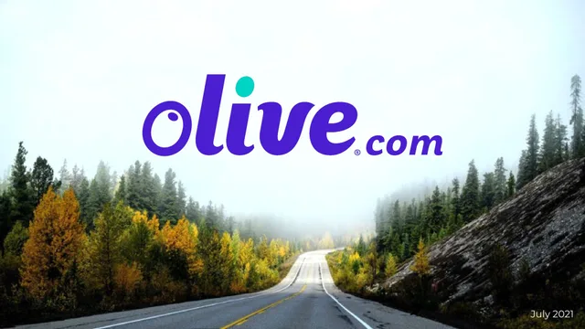 Olive Com — Cover Slide investment banking deck cover
