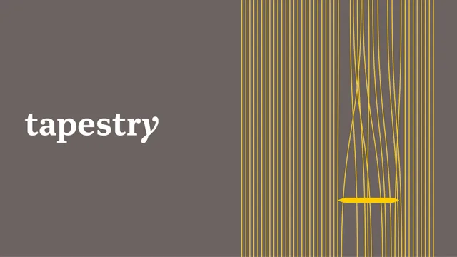 Tapestry investment banking deck cover