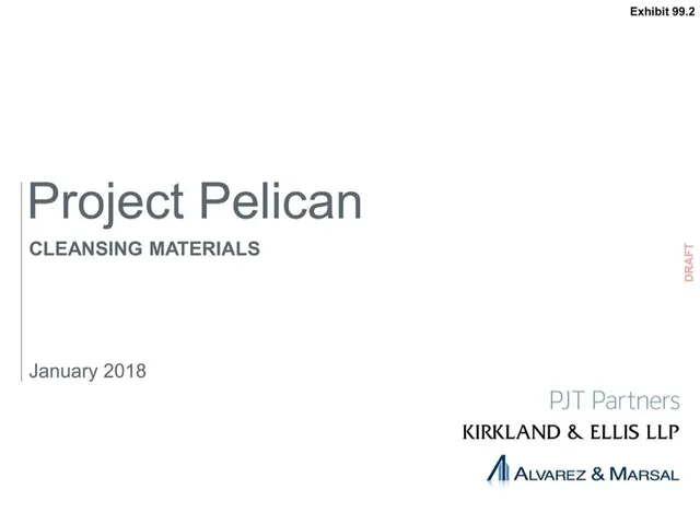 Pjt Partners — Project Pelican investment banking deck cover