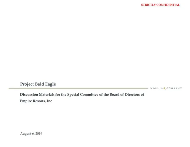 Moelis Company — Project Bald Eagle investment banking deck cover