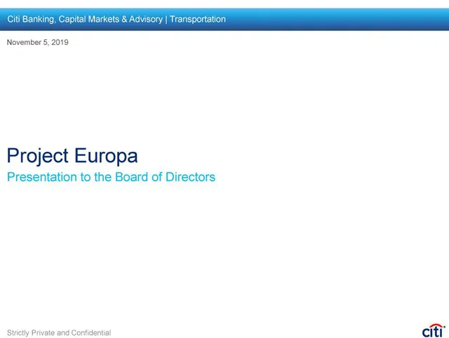 Citi — Project Europa investment banking deck cover