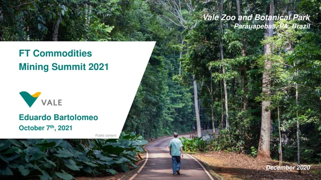 Vale — FT Commodities Mining Summit 2021 investment banking deck cover