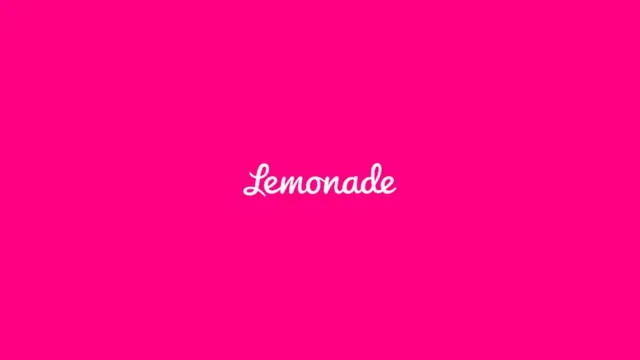 Lemonade investment banking deck cover
