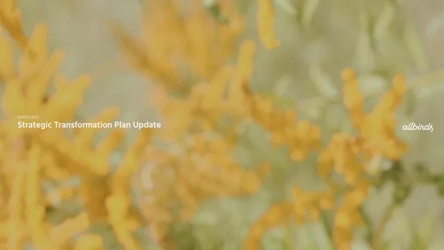 Allbirds — Strategic Transformation Plan Update investment banking deck cover