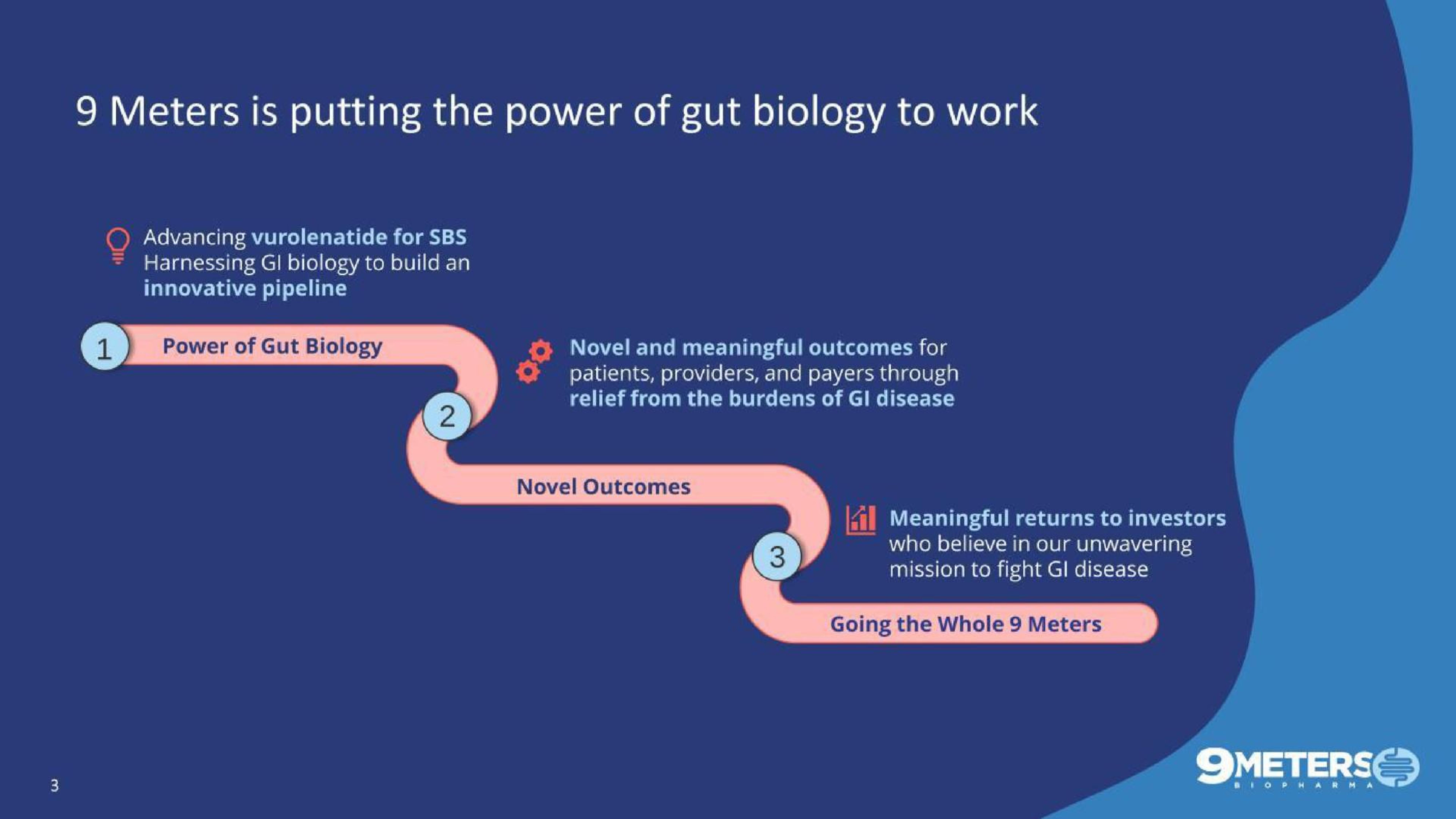 Process slide 3 from 9 Meters Biopharma — Pioneering Novel Treatments
