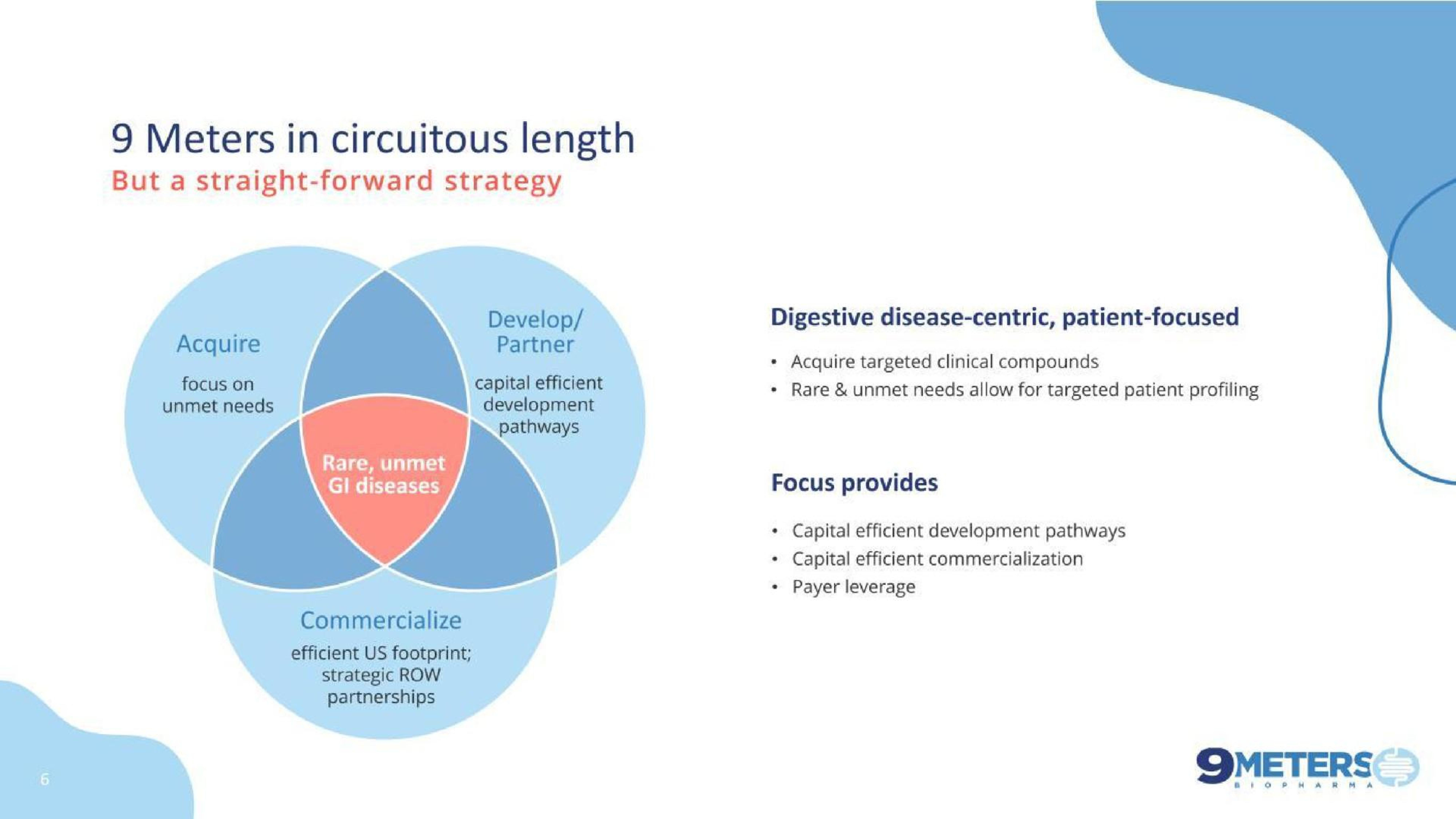 Framework slide 6 from 9 Meters Biopharma — Pioneering Novel Treatments