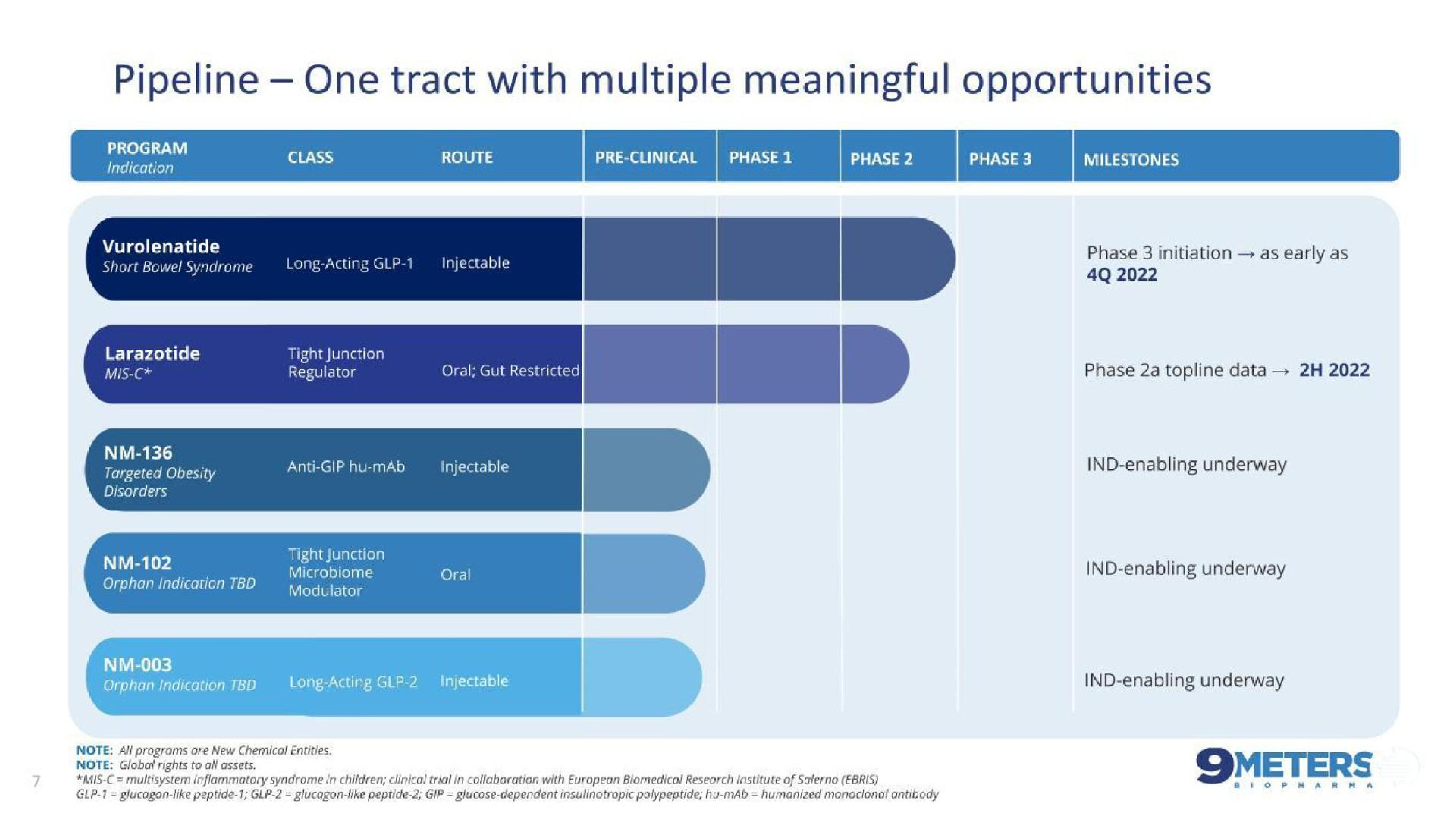 Chart slide 7 from 9 Meters Biopharma — Pioneering Novel Treatments