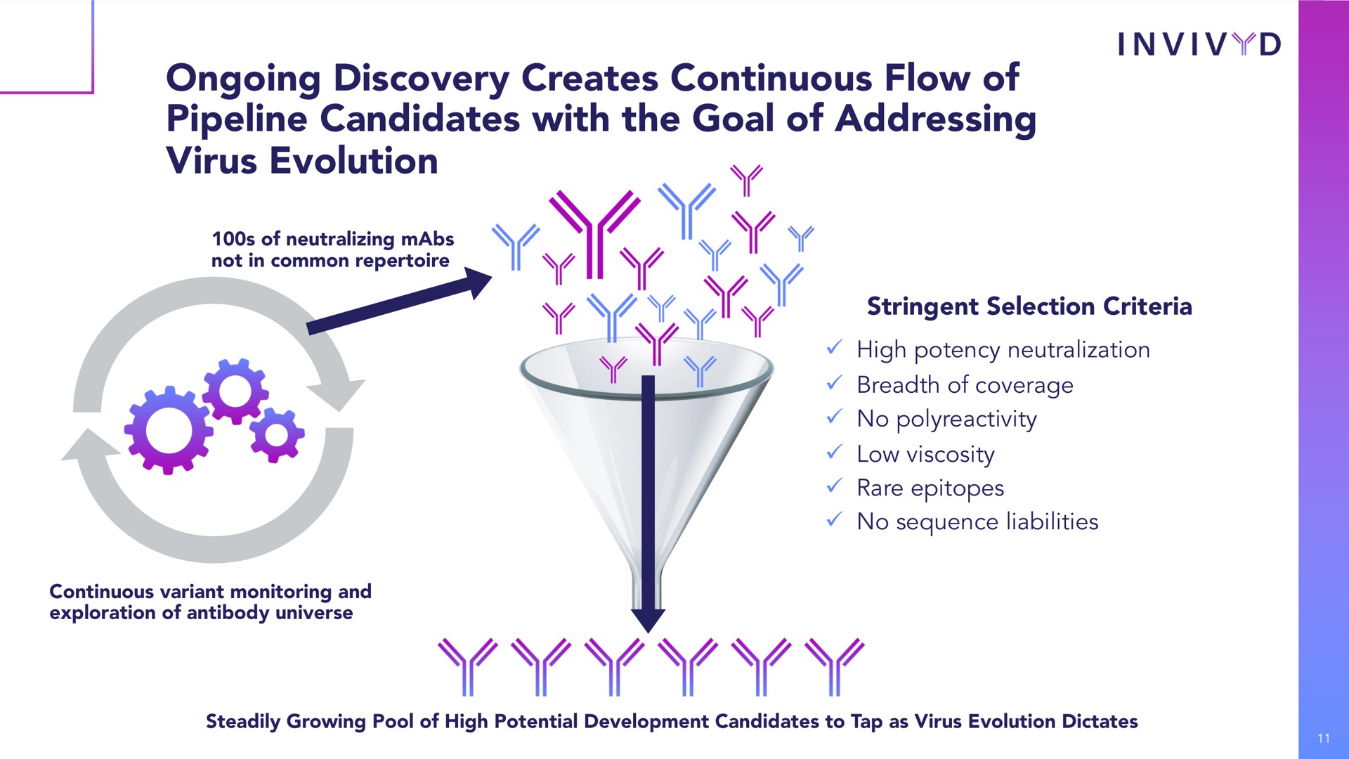 Process slide 11 from Adagio Therapeutics — Corporate Presentation