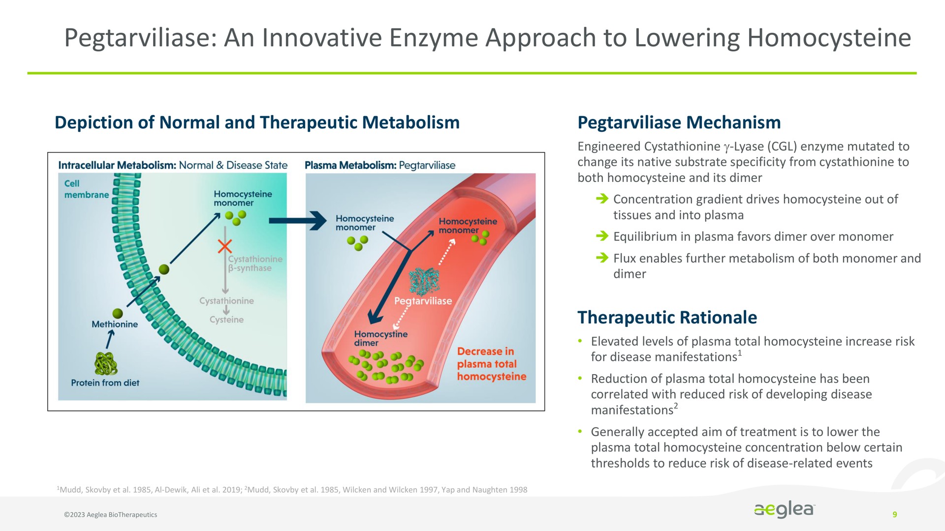 Process slide 9 from Aeglea Biotherapeutics — Redefining the Possible. Human Enzyme Therapies for People with Rare Diseases