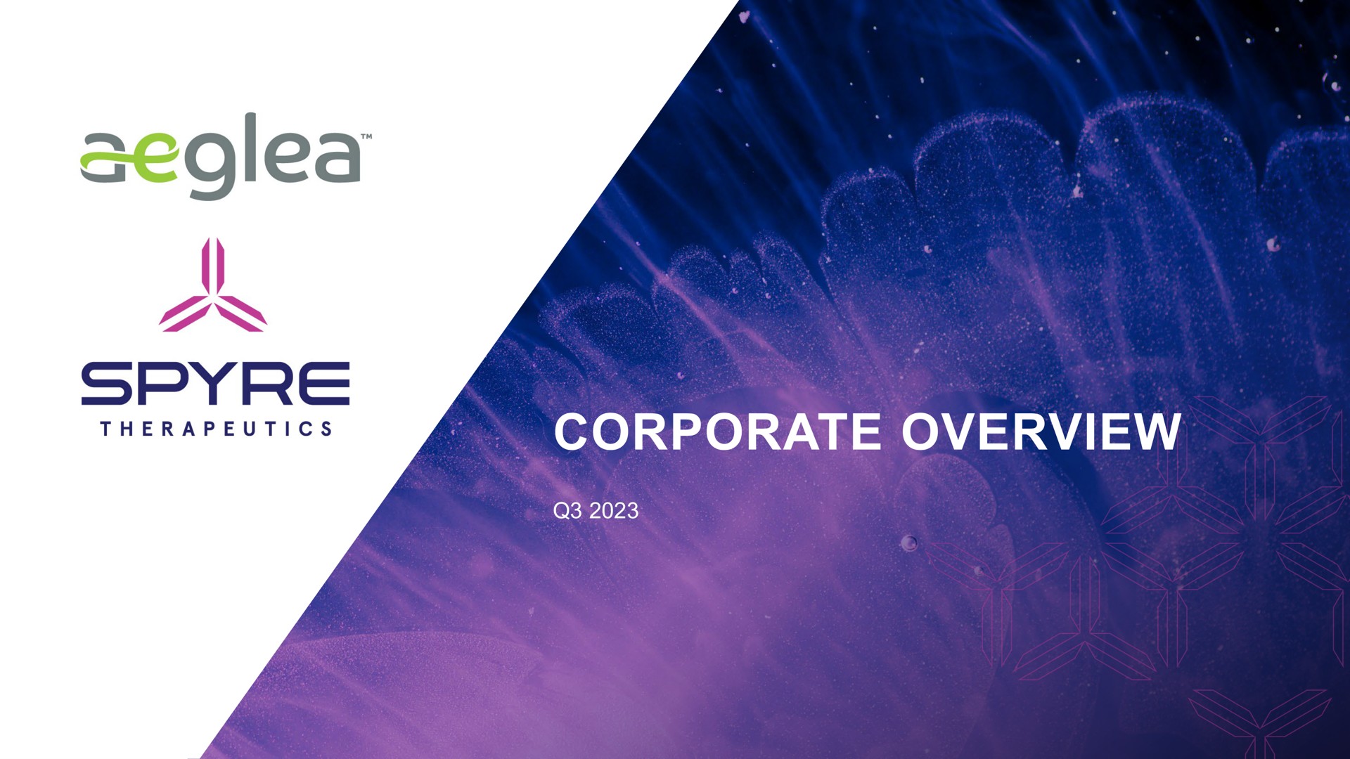 Aeglea Biotherapeutics — Corporate Overview investment banking deck slide