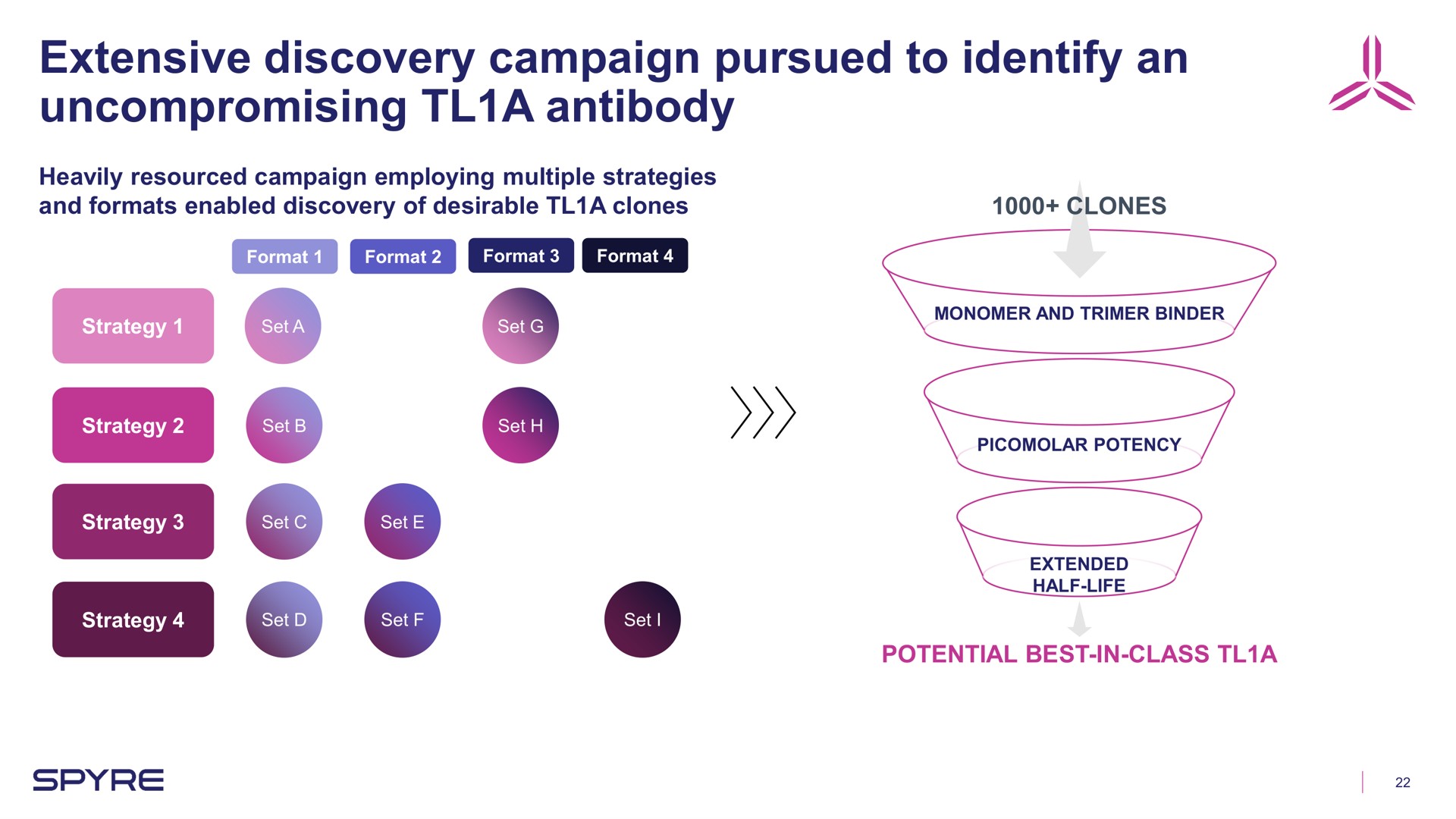 Process slide 22 from Aeglea Biotherapeutics — Corporate Overview