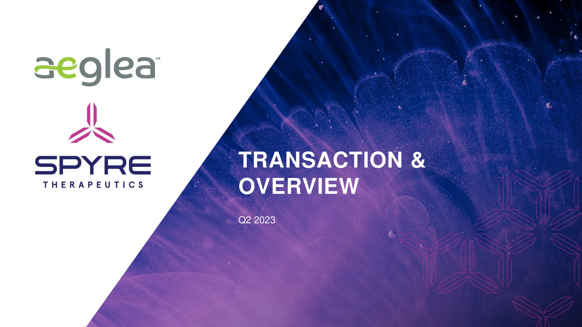 Aeglea Biotherapeutics — Transaction & Overview investment banking deck slide