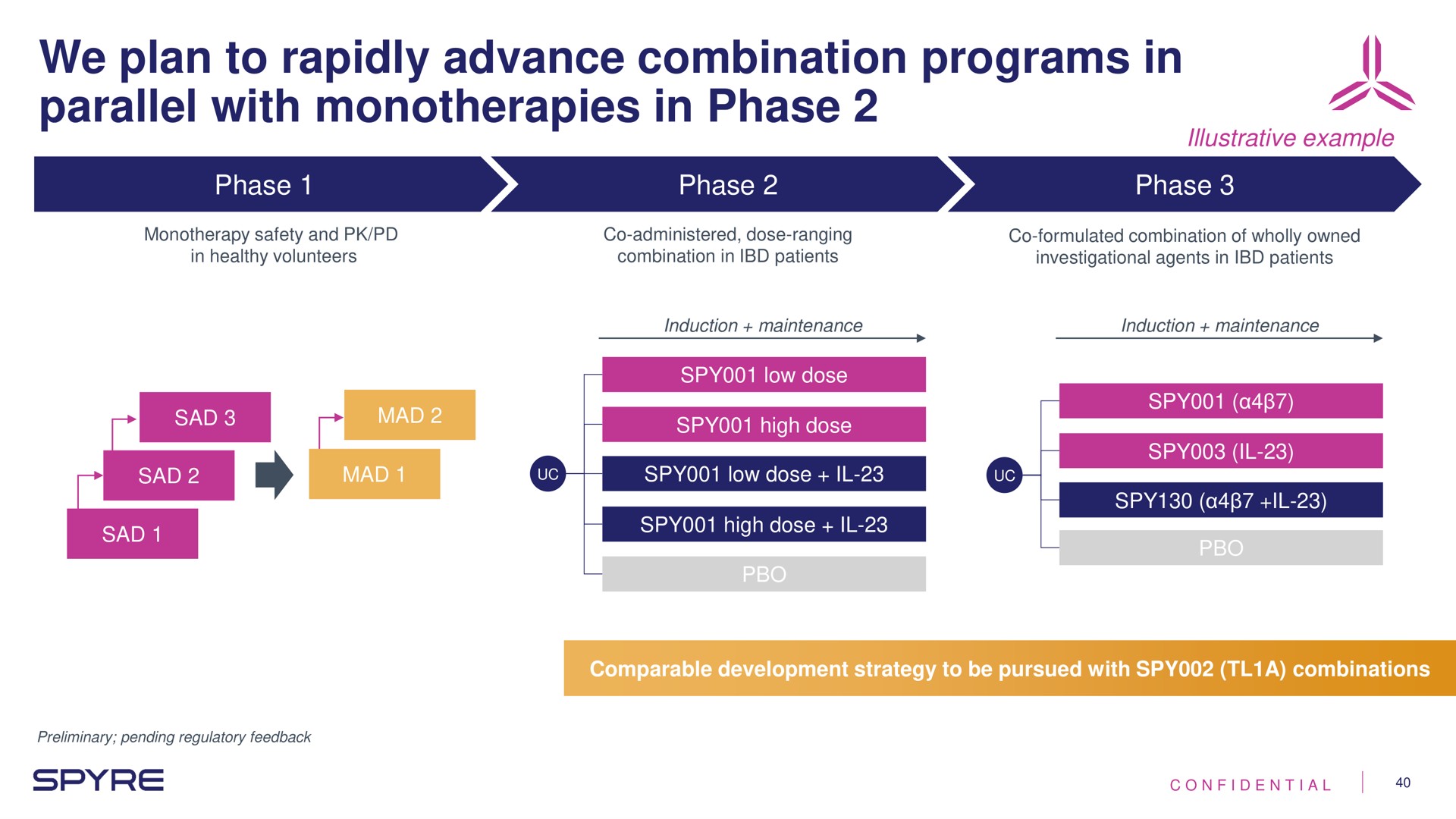 Process slide 40 from Aeglea Biotherapeutics — Transaction & Overview