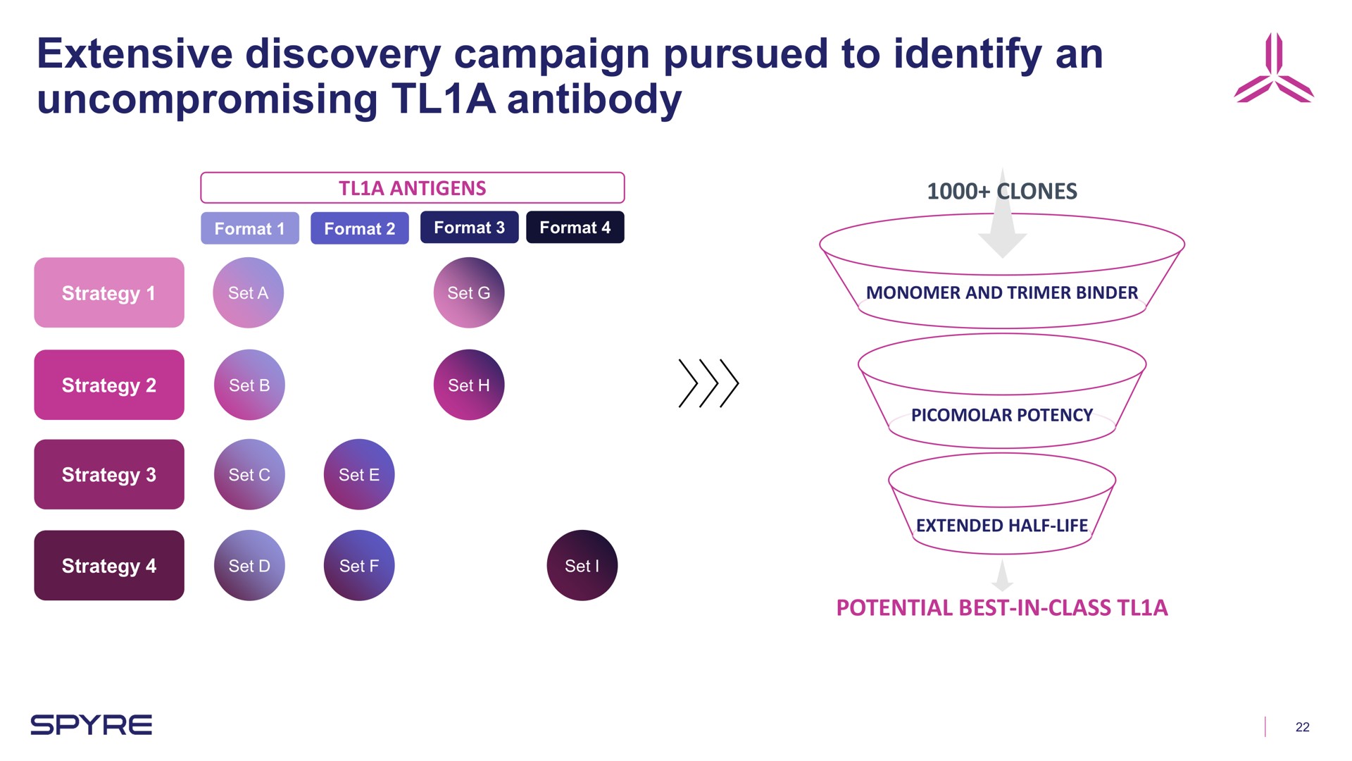 Process slide 22 from Aeglea Biotherapeutics — Corporate Overview
