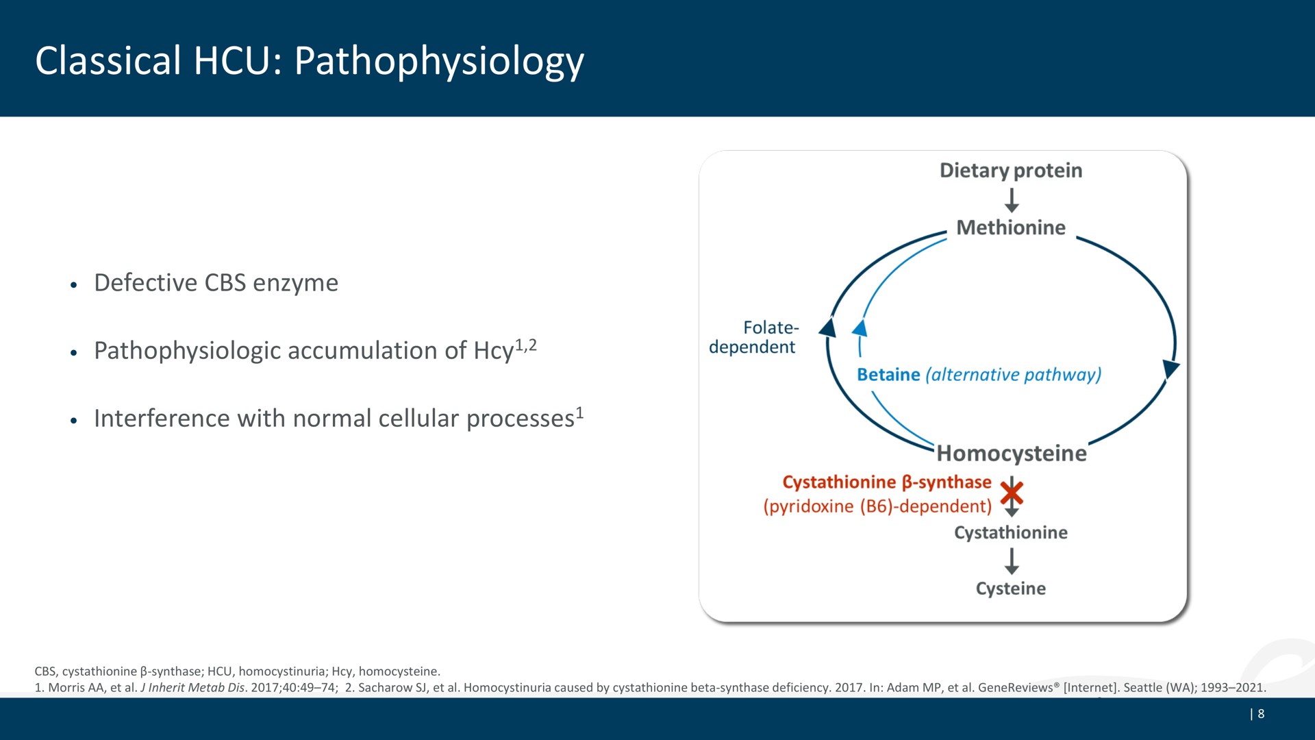 Process slide 8 from Aeglea Biotherapeutics — KOL Webinar on Classical Homocystinuria and Pegtarviliase