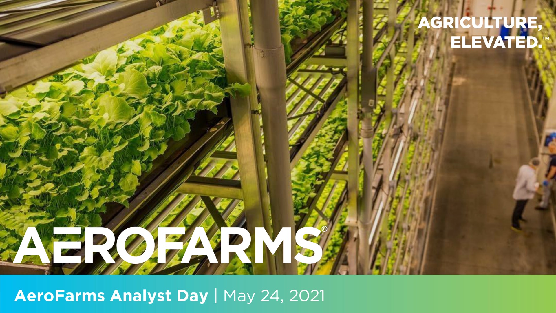 Aerofarms investment banking deck slide