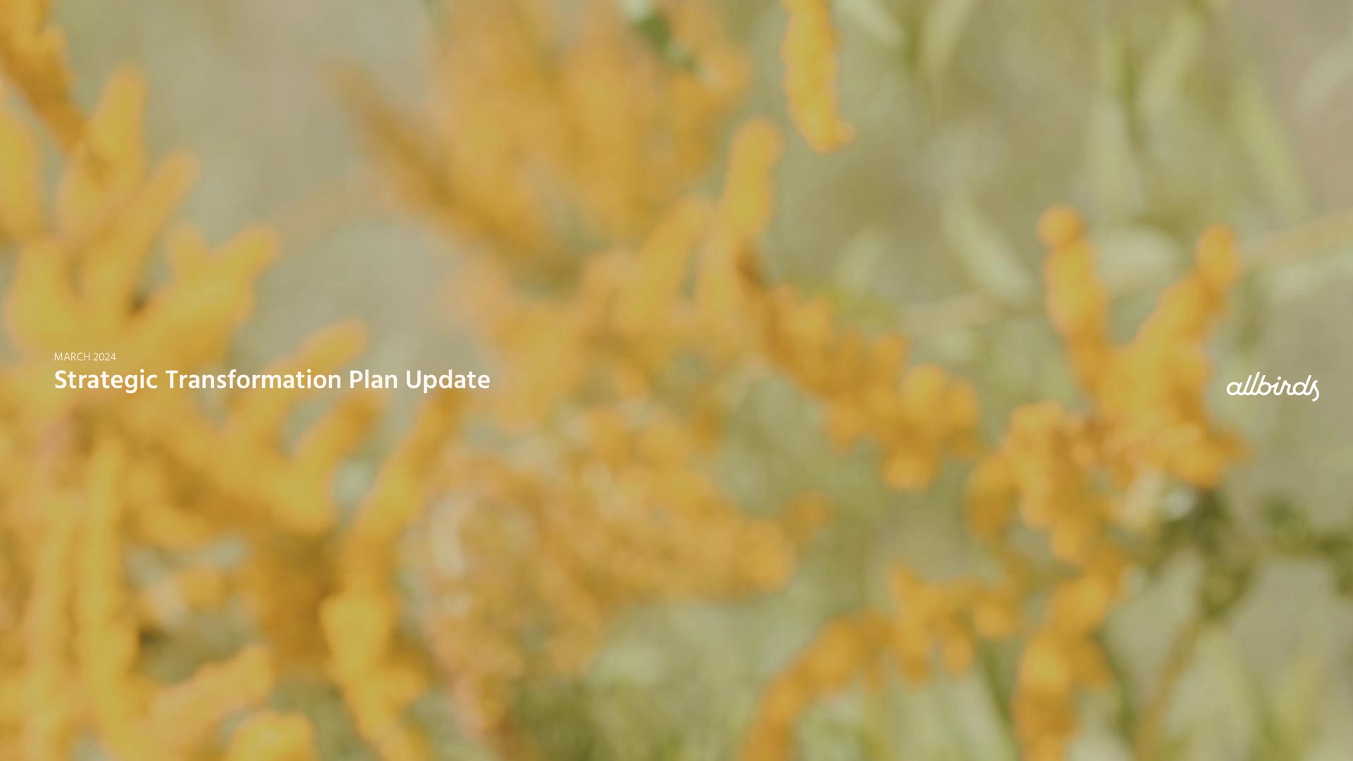 Allbirds — Strategic Transformation Plan Update investment banking deck slide