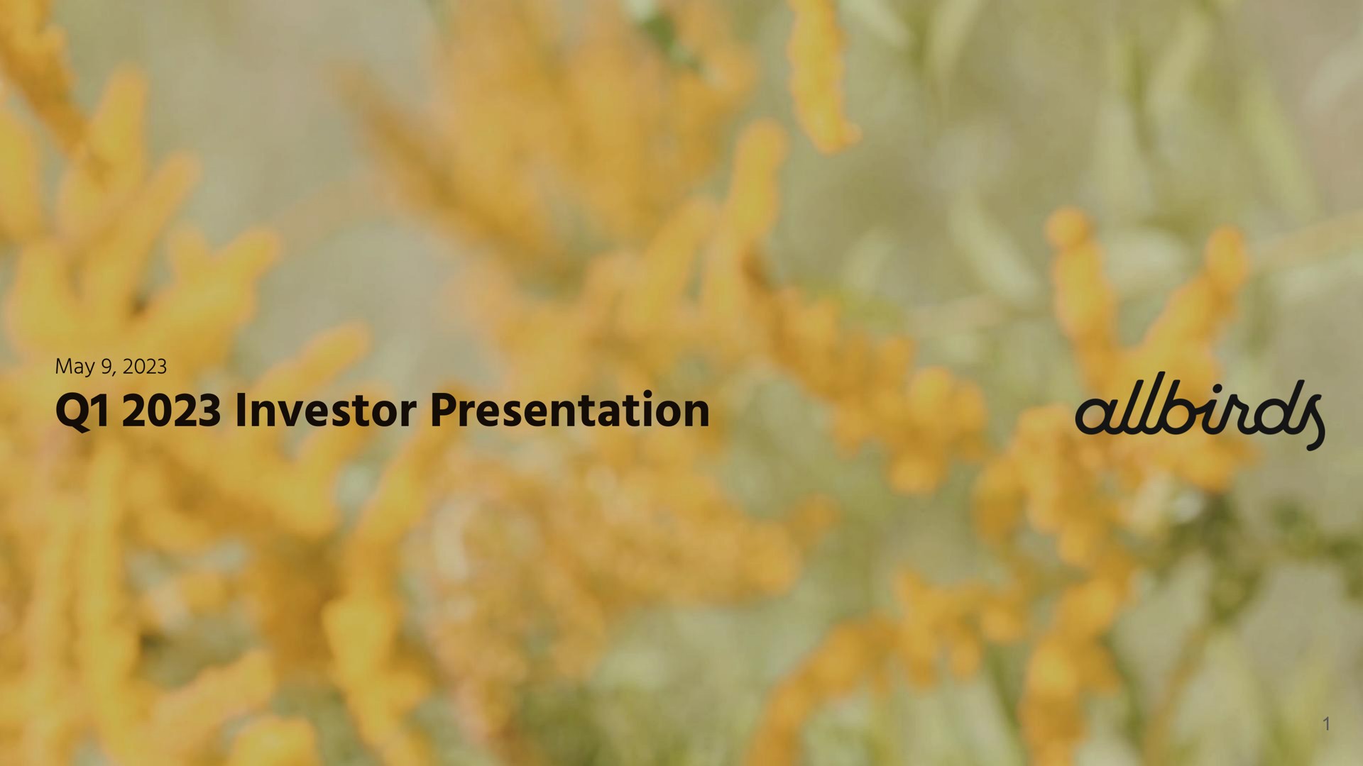 Allbirds — Q1 2023 Investor Presentation investment banking deck slide