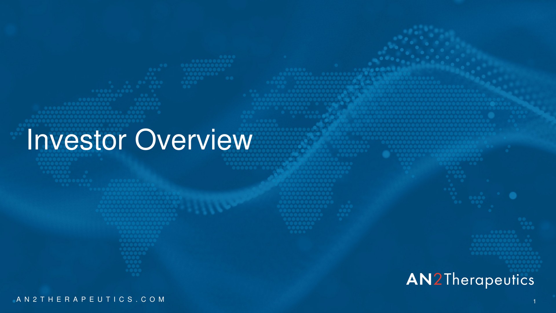 An2 Therapeutics — Investor Overview investment banking deck slide