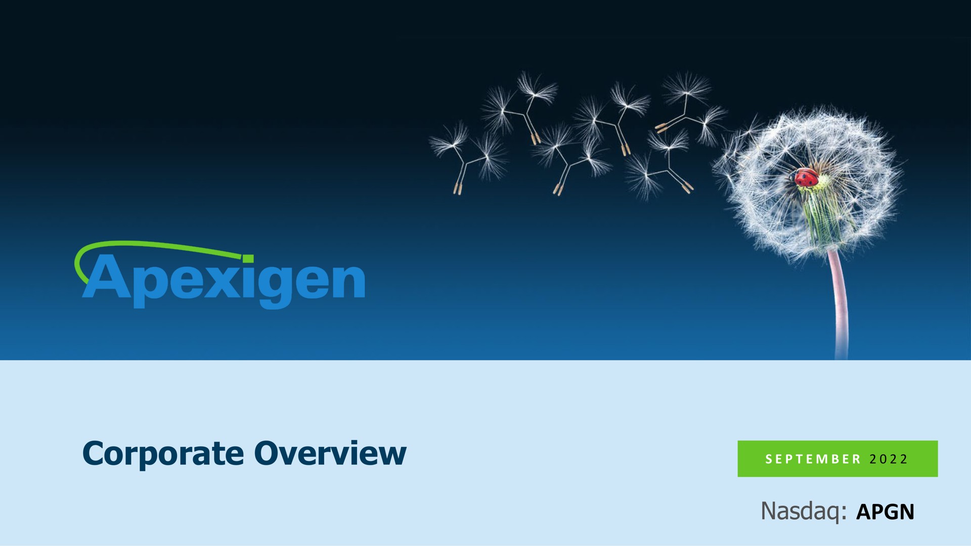 Apexigen — Corporate Overview investment banking deck slide