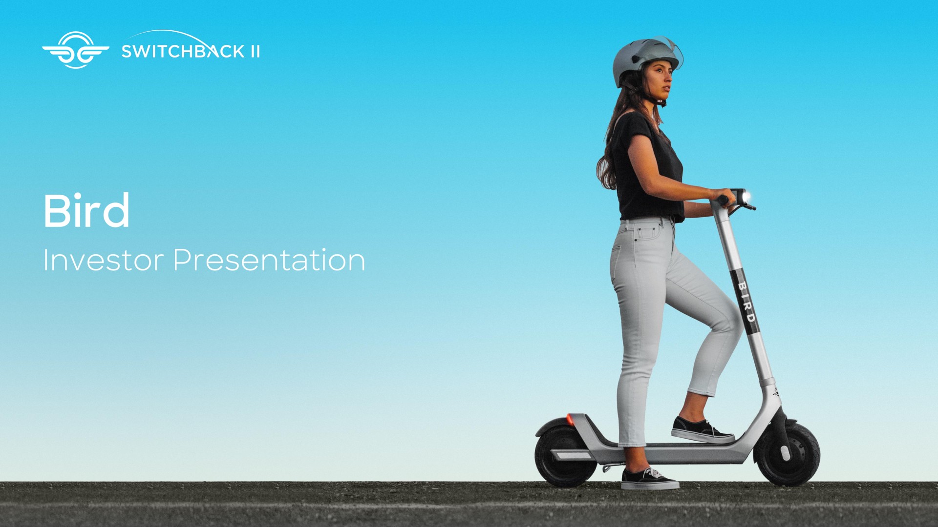 Bird investment banking deck slide