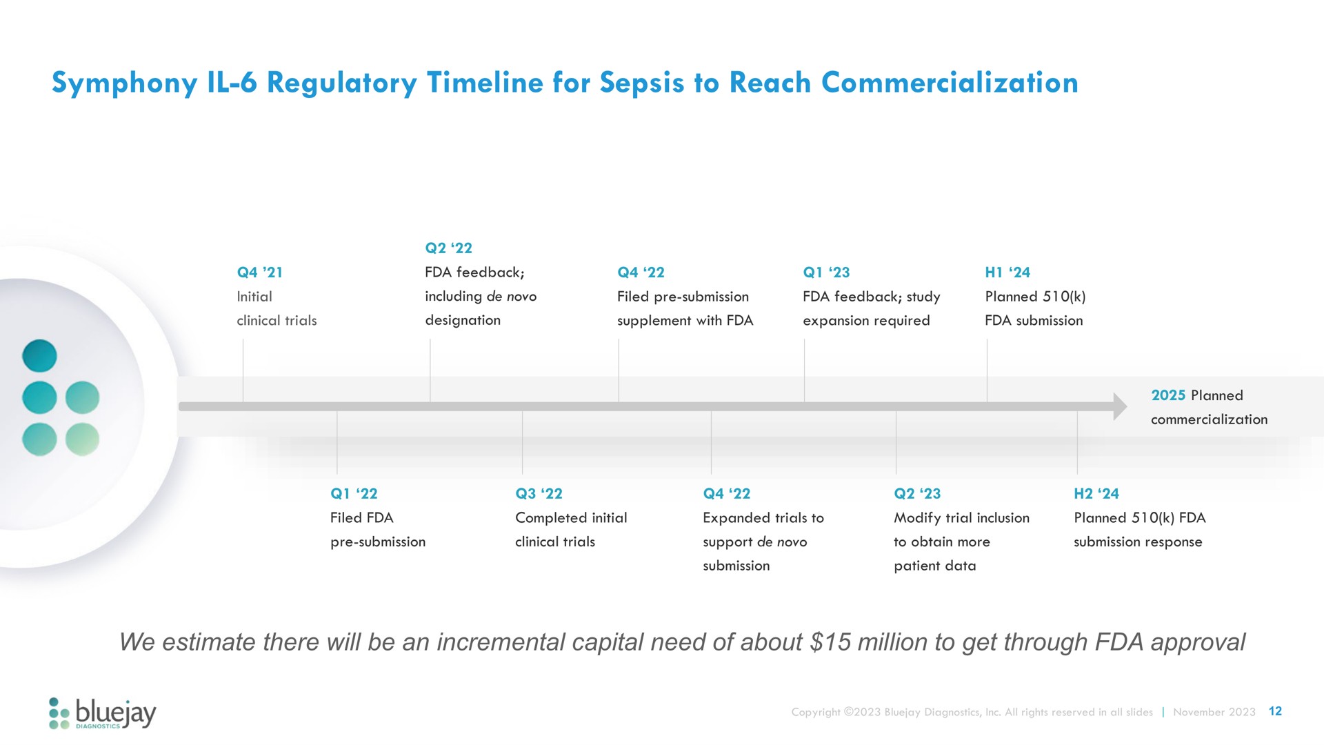 Timeline slide 12 from Bluejay — Improving Patient Outcomes In Critical Care Settings