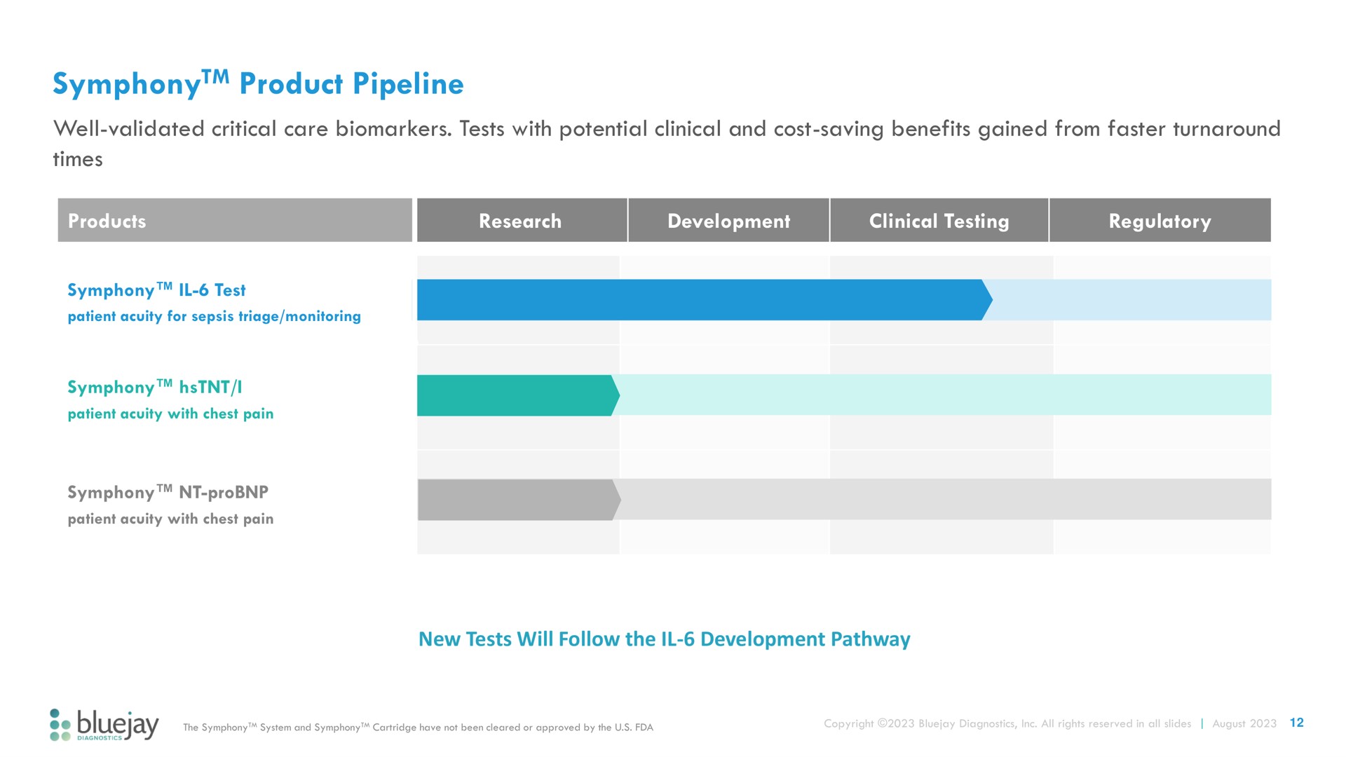 Timeline slide 12 from Bluejay — Improving Patient Outcomes In Critical Care Settings
