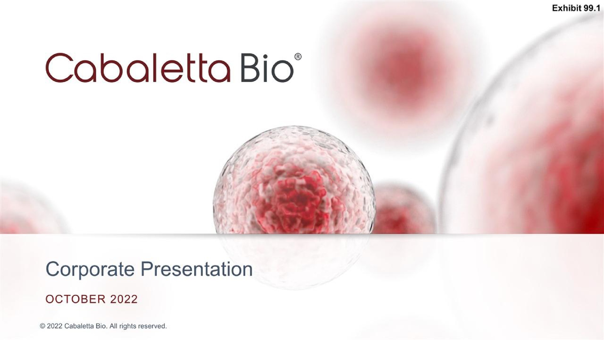 Cabaletta Bio — Corporate Presentation investment banking deck slide
