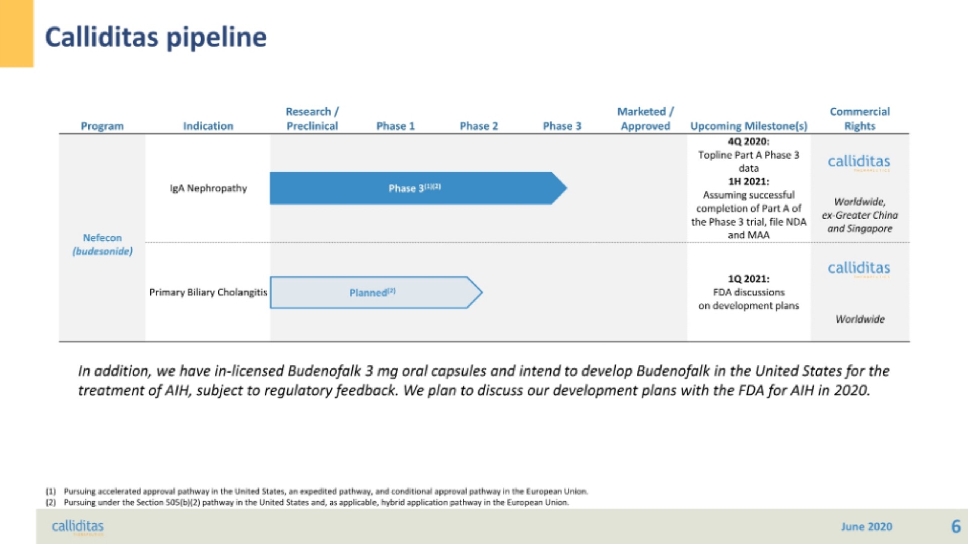 Timeline slide 6 from Calliditas Therapeutics — Company Overview