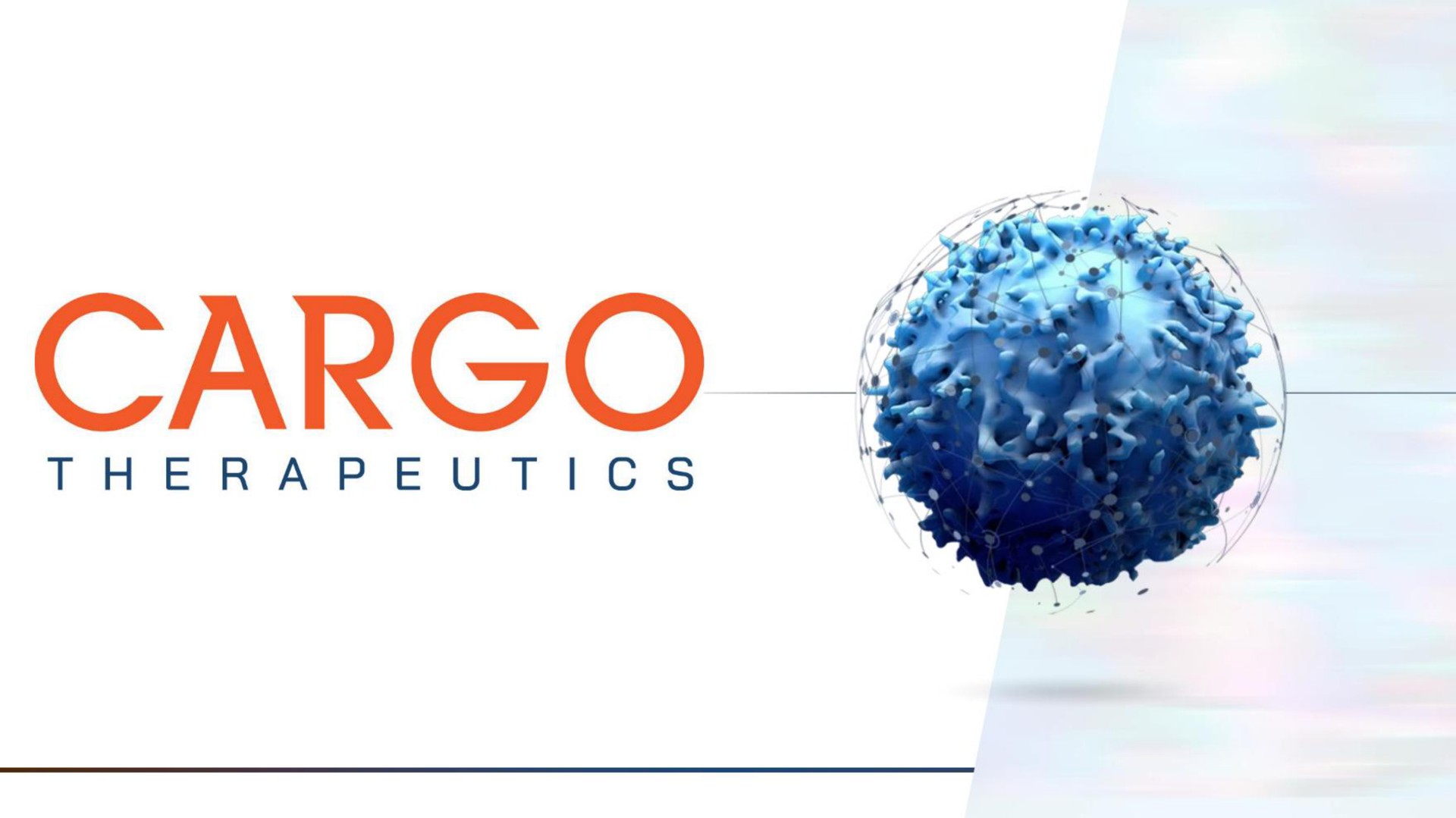 Cargo Therapeutics — Cargo investment banking deck slide