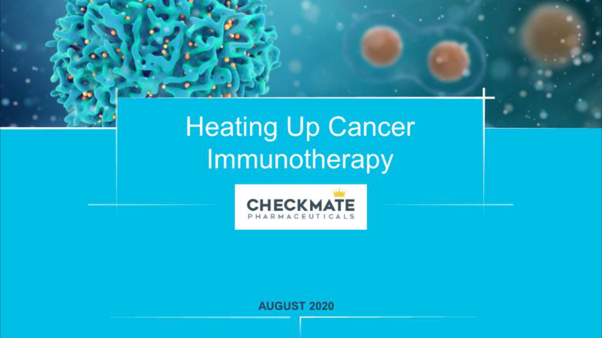 Checkmate Pharmaceuticals — Heating Up Cancer Immunotherapy investment banking deck slide
