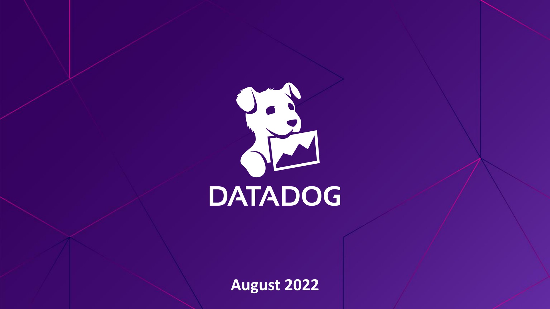 Datadog investment banking deck slide