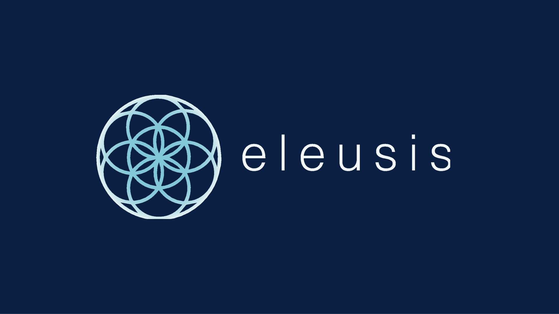 Eleusis — Cover Slide investment banking deck slide