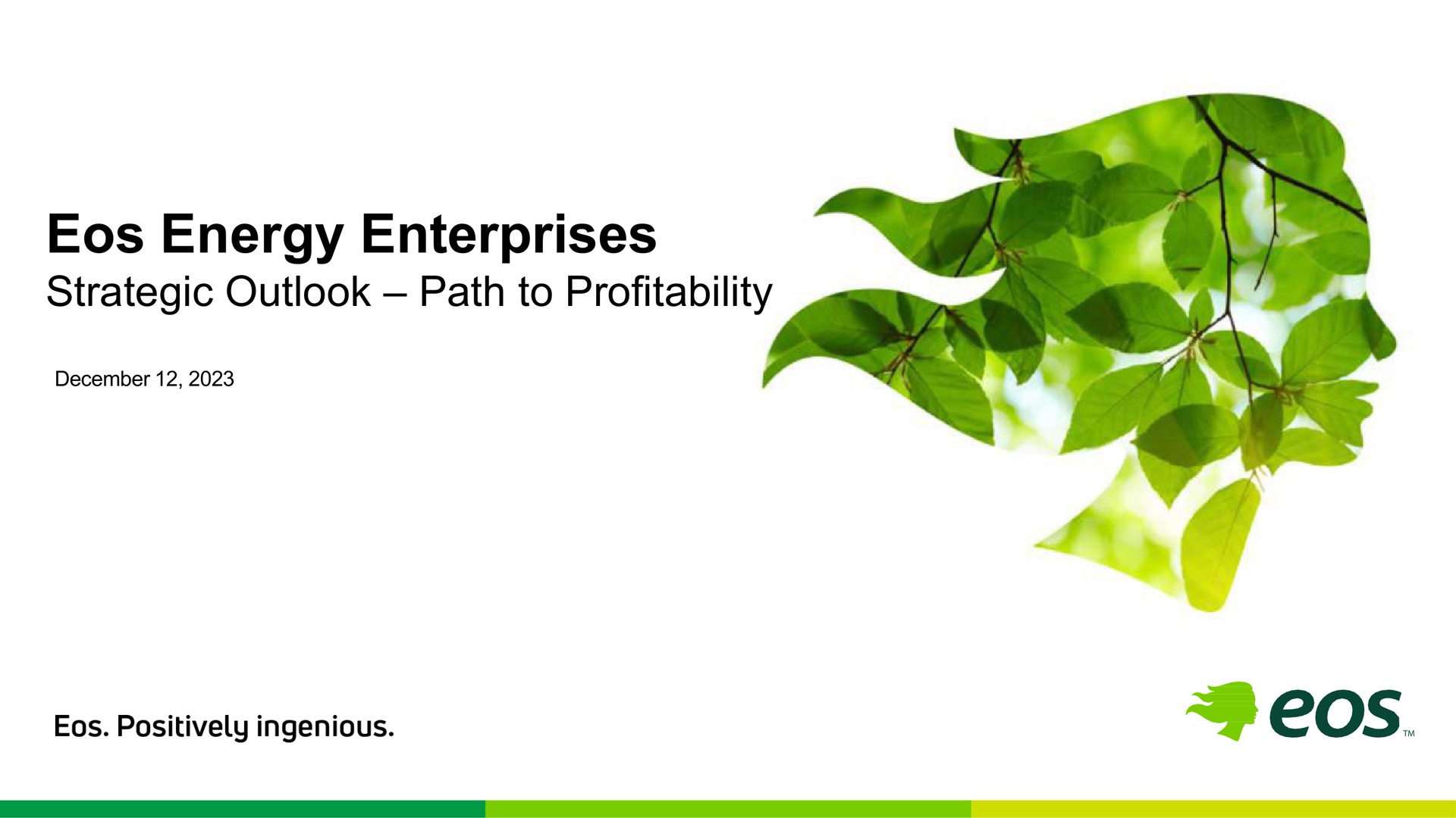 Eos Energy — Eos Energy Enterprises Strategic Outlook – Path to Profitability investment banking deck slide