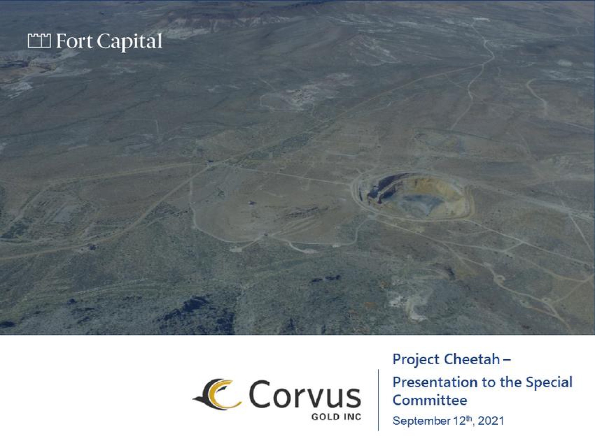 Fort Capital — Cover Slide investment banking deck slide