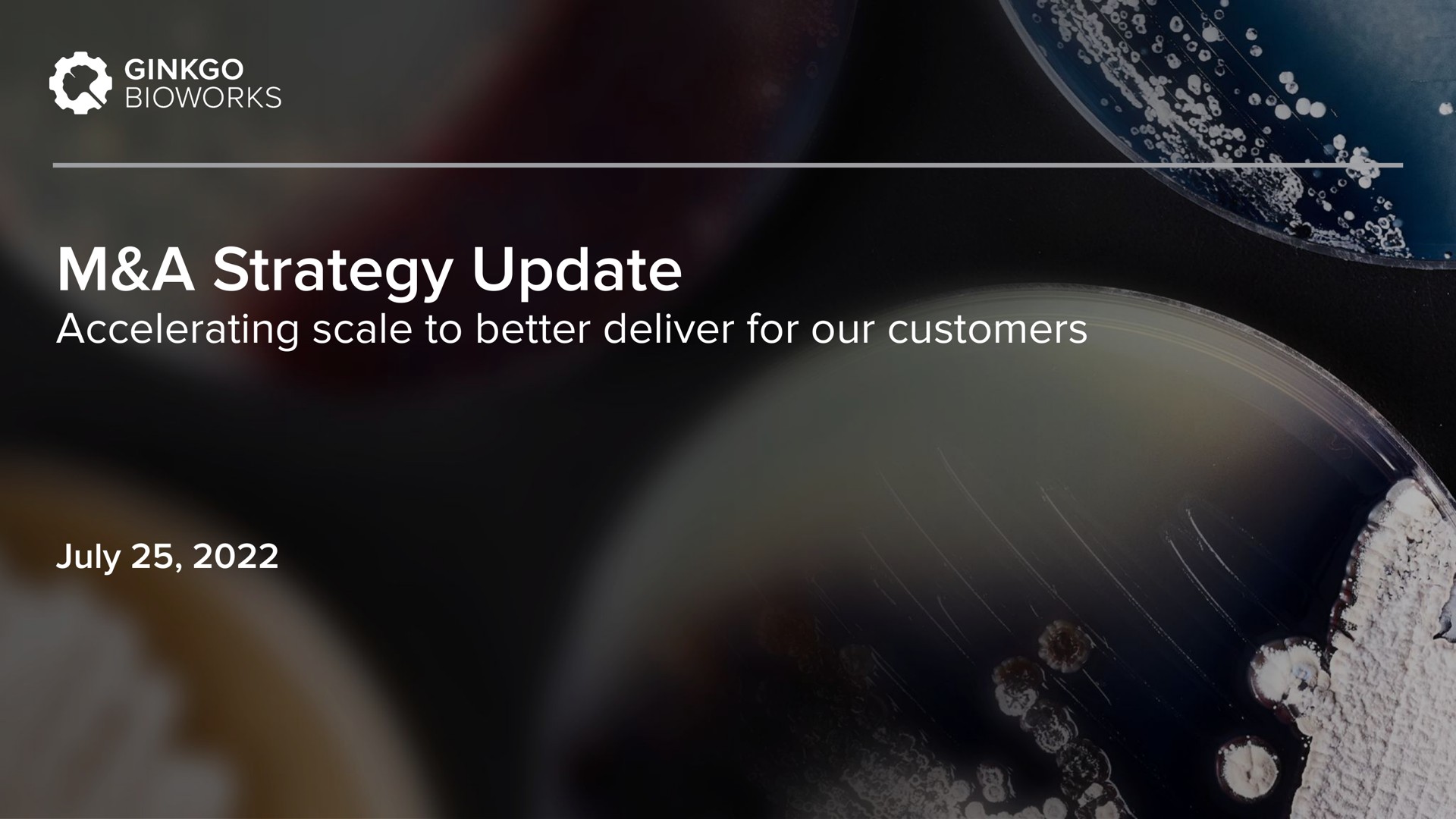 Ginkgo — M&A Strategy Update investment banking deck slide
