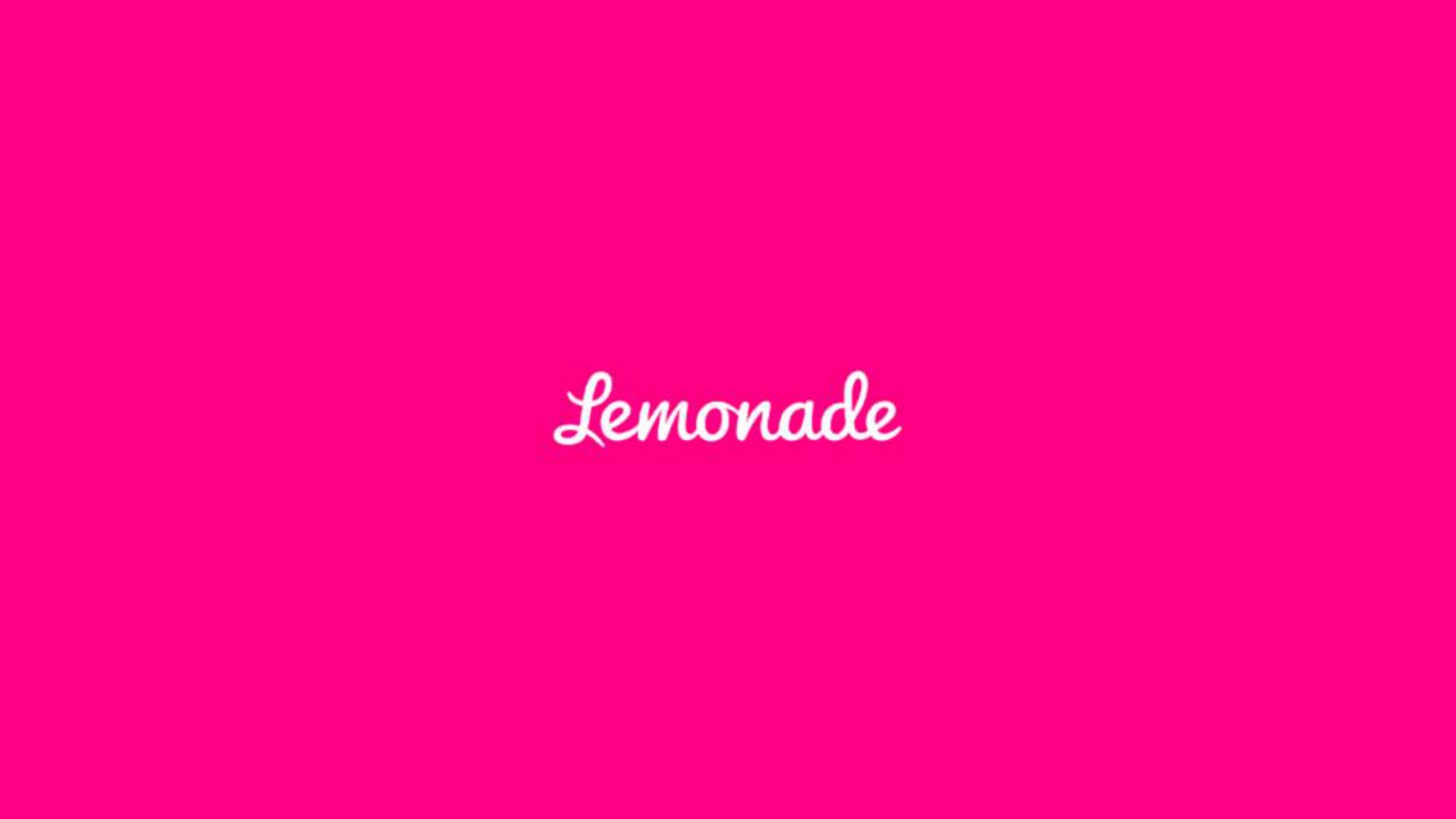 Lemonade investment banking deck slide
