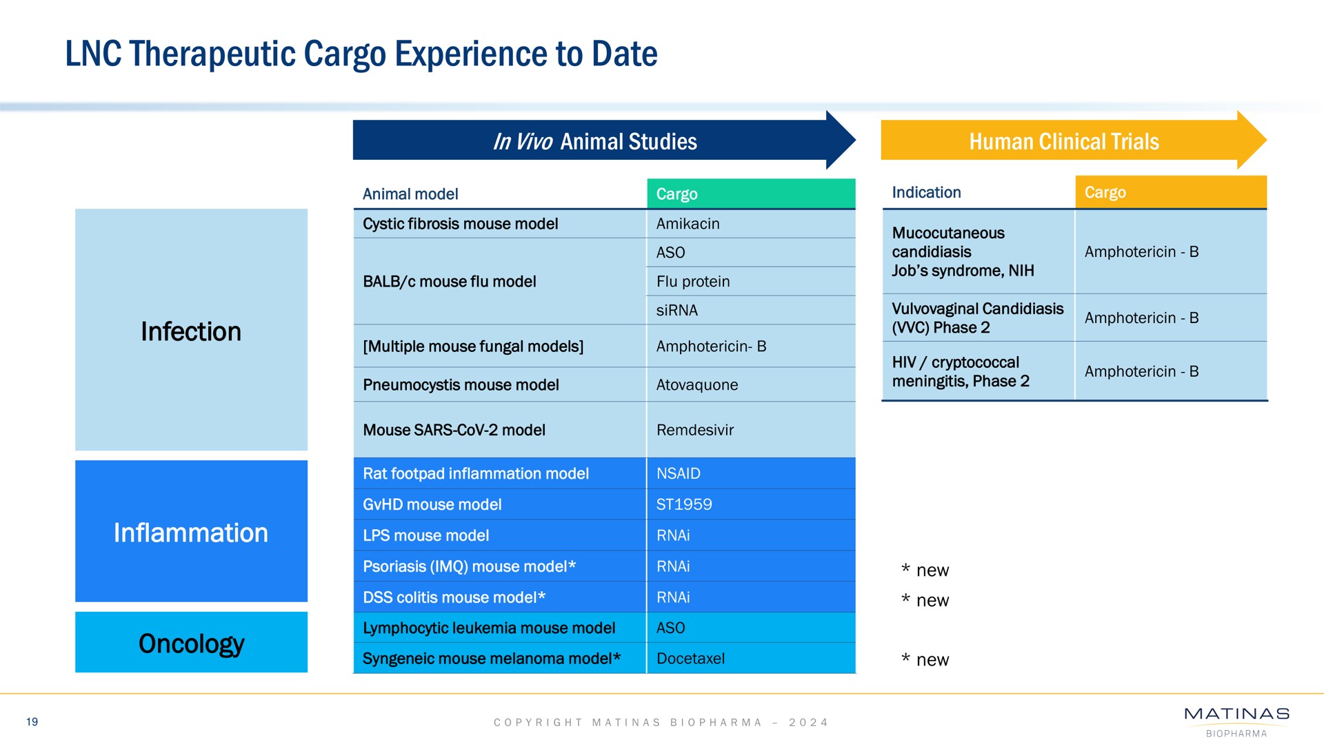Table slide 19 from Matinas Biopharma — cover slide