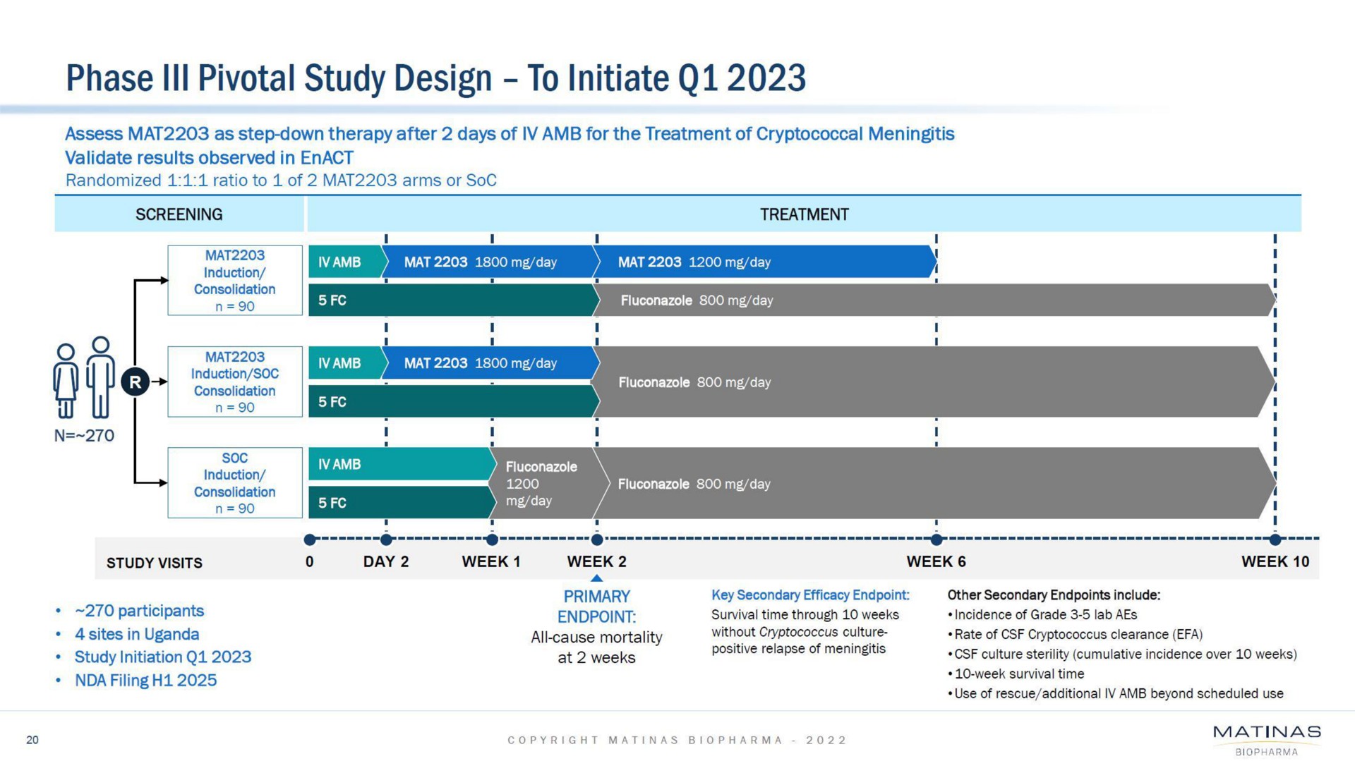 Timeline slide 20 from Matinas Biopharma — Corporate Presentation Cover